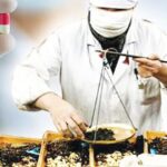 Thuốc y học cổ truyền mới chiếm hơn 5% chi BHYT, đề xuất mở rộng danh mục thanh toán