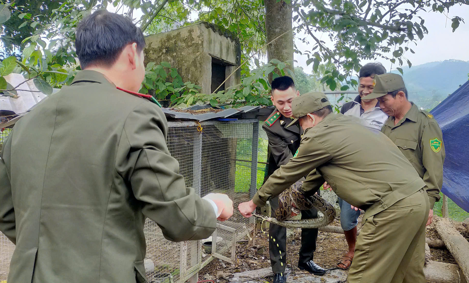 Khu rừng chữa lành vết thương, khơi dậy bản năng sinh tồn cho động vật quý hiếm- Ảnh 3.