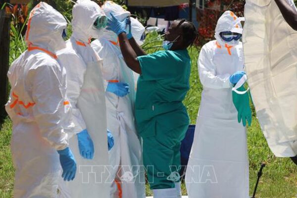 Khoảng 500 ca mắc virus Ebola được xác nhận ở Trung Phi