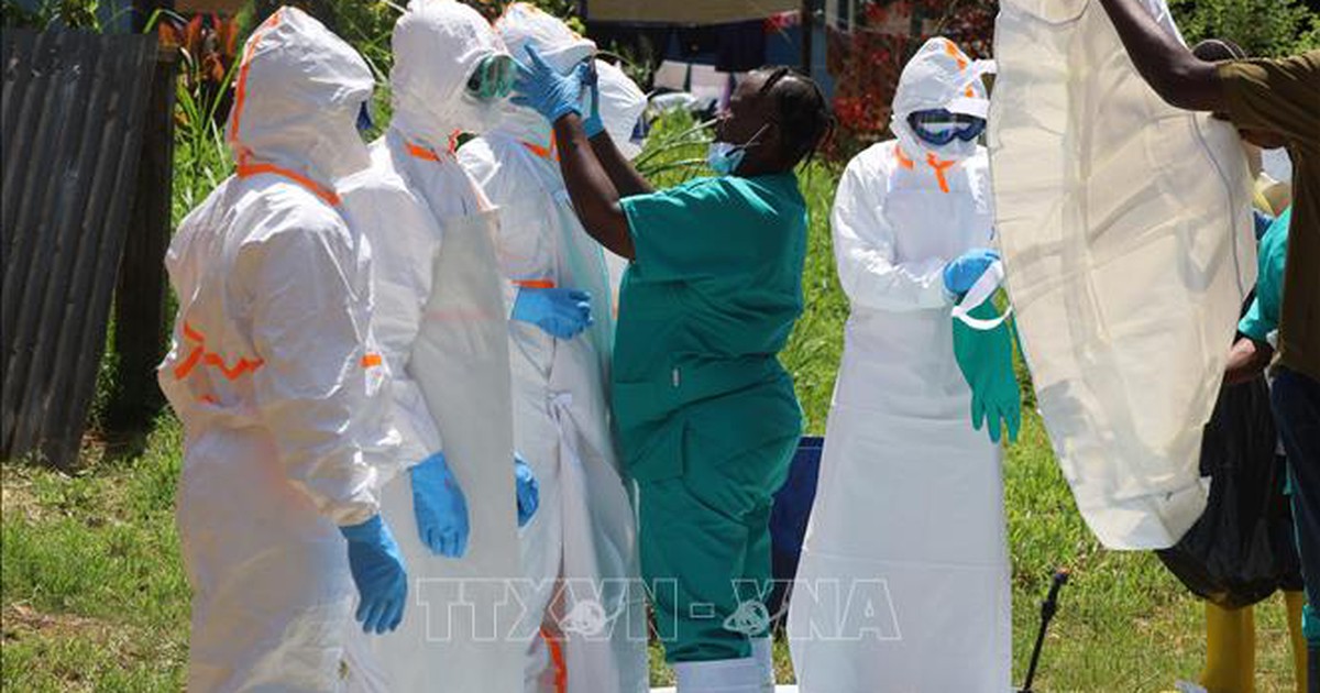 Khoảng 500 ca mắc virus Ebola được xác nhận ở Trung Phi