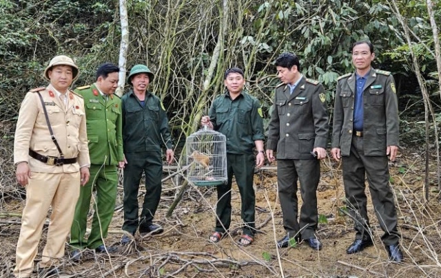 Khu rừng chữa lành vết thương, khơi dậy bản năng sinh tồn cho động vật quý hiếm- Ảnh 1.