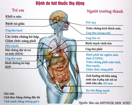 images1373280z07844-1781235554917437026806 Hơn 48 % phụ nữ Việt thường xuyên tiếp xúc với khói thuốc thụ động độc hại tại nhà- Ảnh 2.