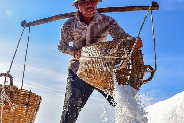 Nét đẹp trên cánh đồng muối Cần Giờ