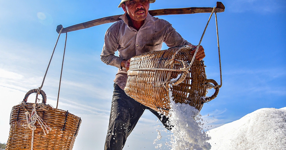 Nét đẹp trên cánh đồng muối Cần Giờ