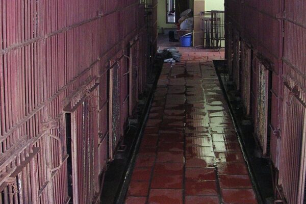 Kêu gọi đưa toàn bộ gấu nuôi nhốt ở Phúc Thọ, Hà Nội vào trung tâm cứu hộ