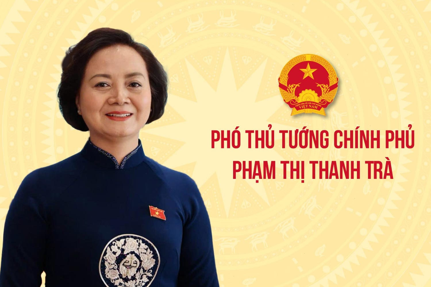 pho-thu-tuong-17802158295641884314618 Phó Thủ tướng Phạm Thị Thanh Trà làm Trưởng BCĐ quốc gia về phát triển ngành Dược Việt Nam- Ảnh 1.