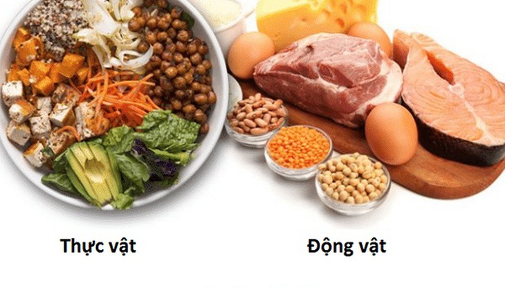 5 dấu hiệu cảnh báo thiếu protein nghiêm trọng - Ảnh 2.
