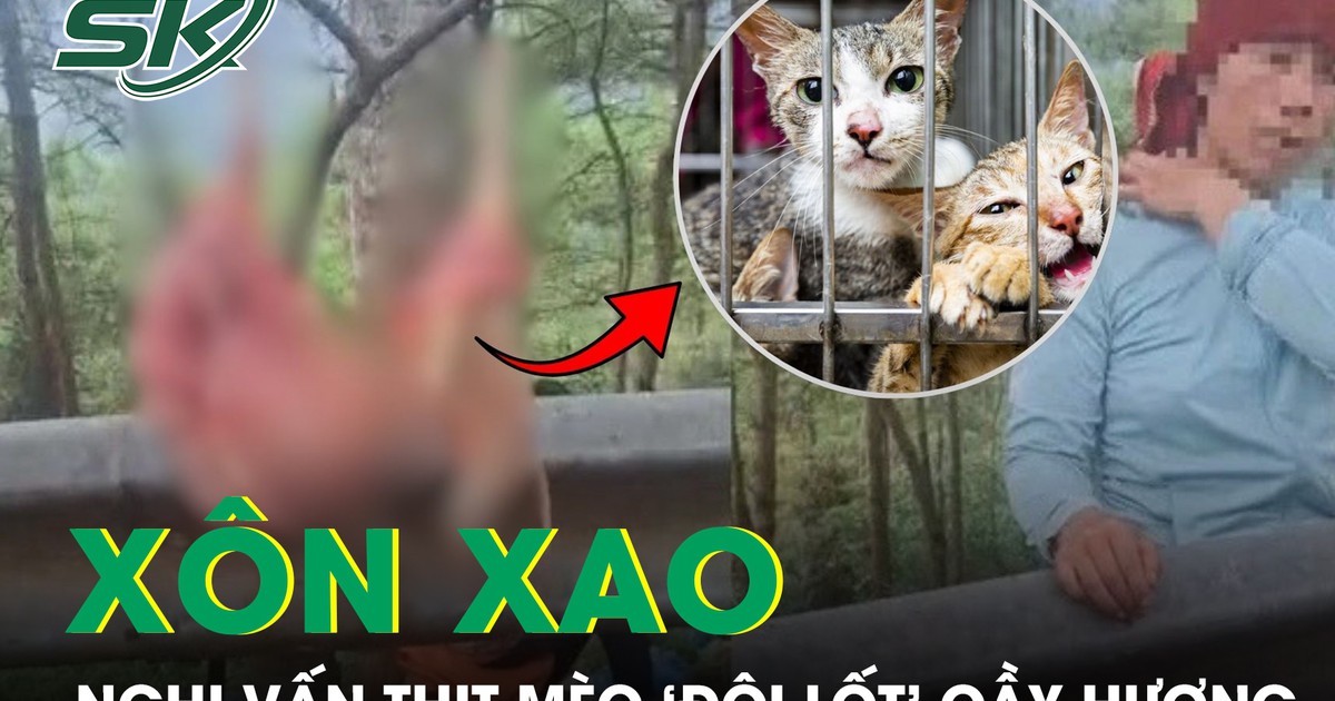 Xôn xao nghi vấn thịt mèo ‘đội lốt’ cầy hương, cơ quan chức năng vào cuộc